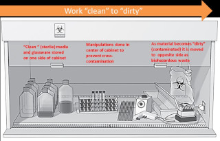 BSC Workflow