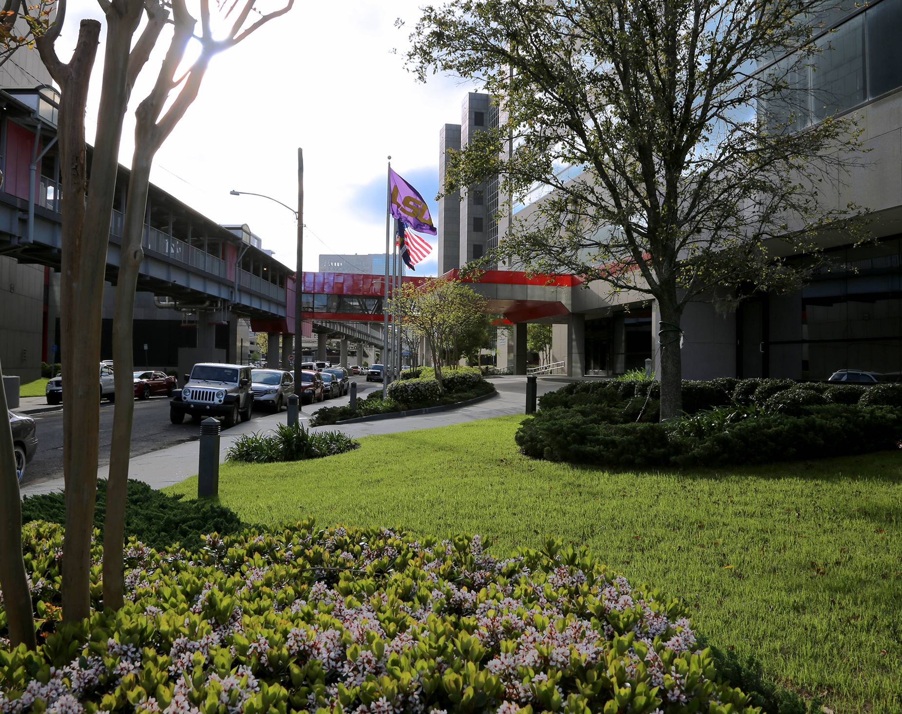 lsuhsc campus flags