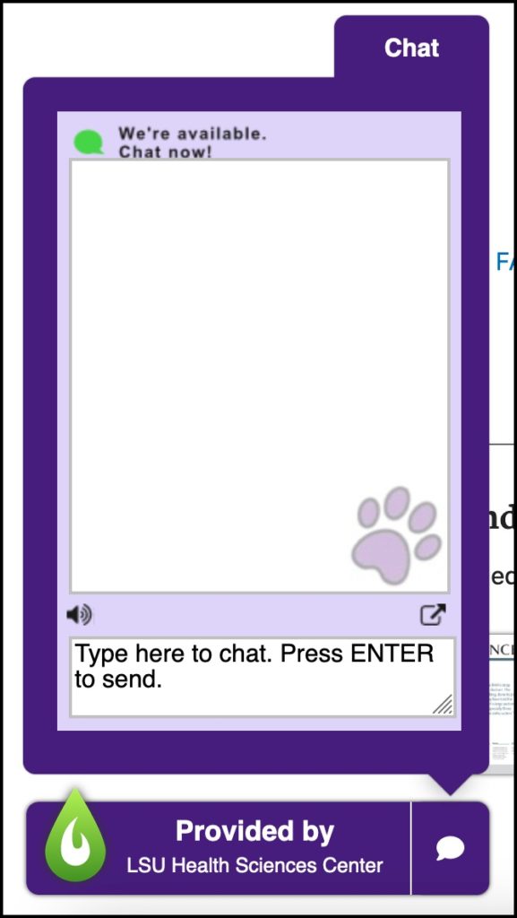 Screenshot of chat box