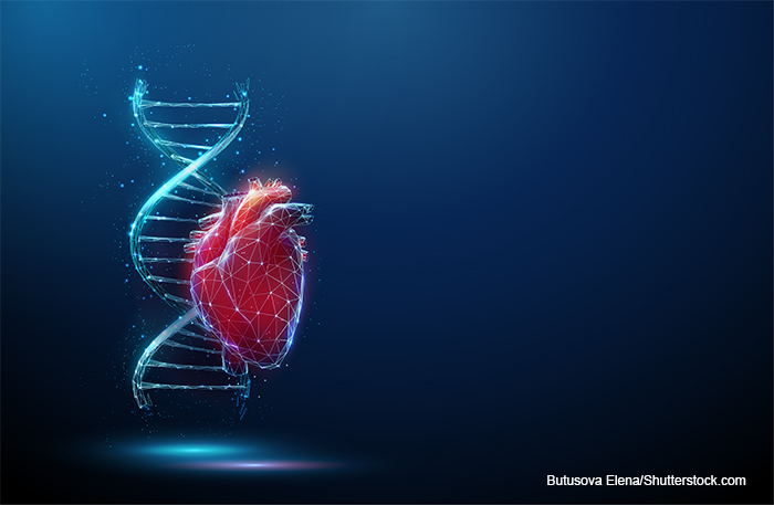 Study Reveals Significant Difference in Cardiomyopathy Genes Between ...