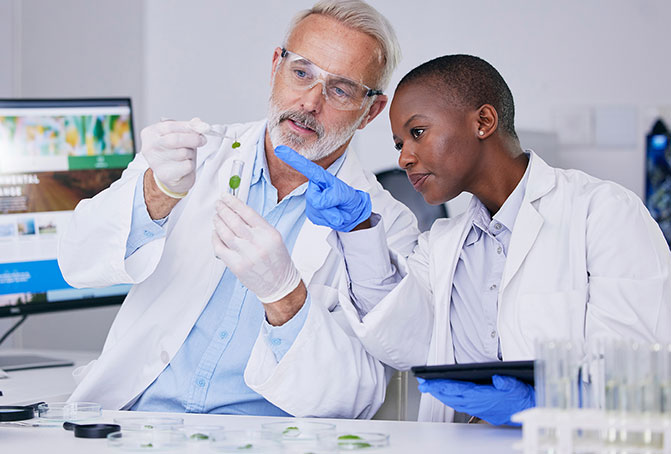 Researchers working in a lab